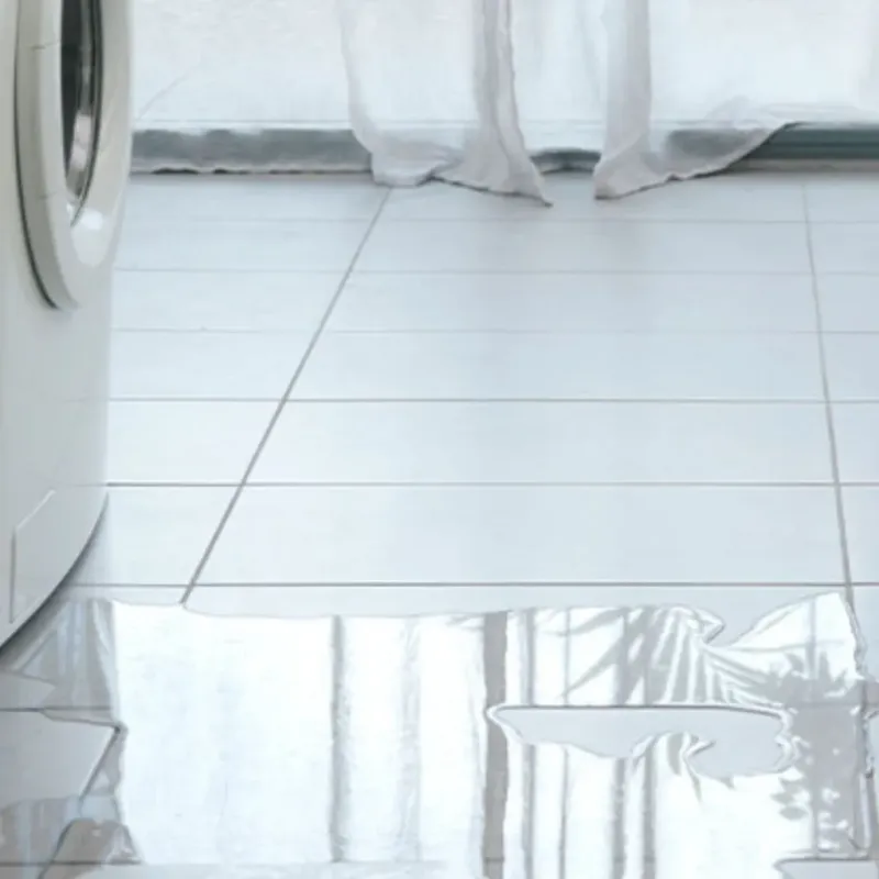 Appliance Leak Cleanup in Mexico Beach, FL