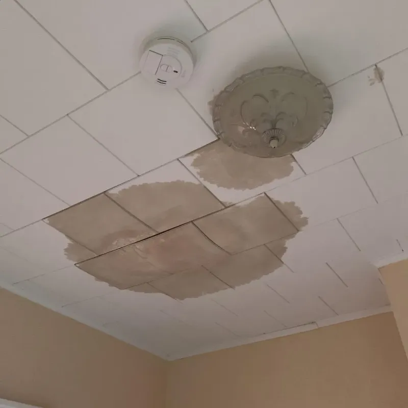 Ceiling Water Damage Repair in Mexico Beach, FL